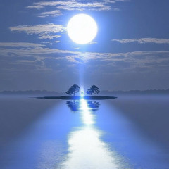 laying shit (Prod. Re_V)