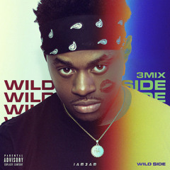 Wildside [3MIX]