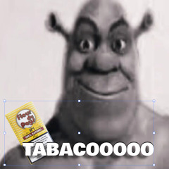 Shrek Sans Vert_TABACOOOOO