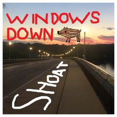 Windows Down