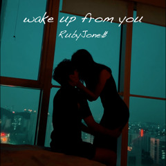 Wake Up From You