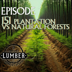 151 - Plantation vs Natural Forests