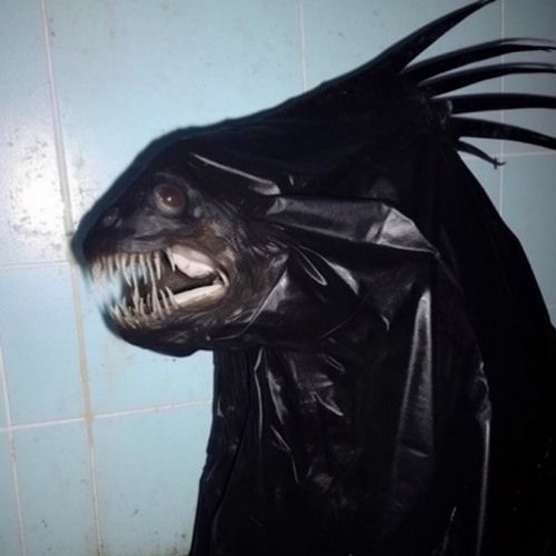 Ocean - Edward Skeletrix