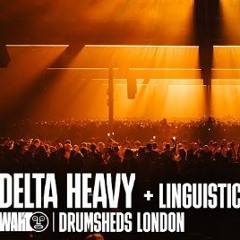 Delta Heavy + Linguistics - WAH10 At Drumsheds London 2024