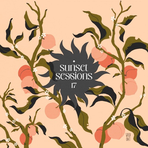 Sunset Sessions - Vol. 17