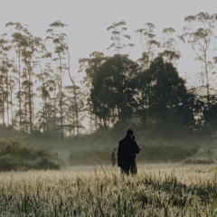 bohemian rhapsody (check sound)