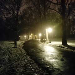 Echo