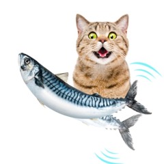 어머니와 고등어