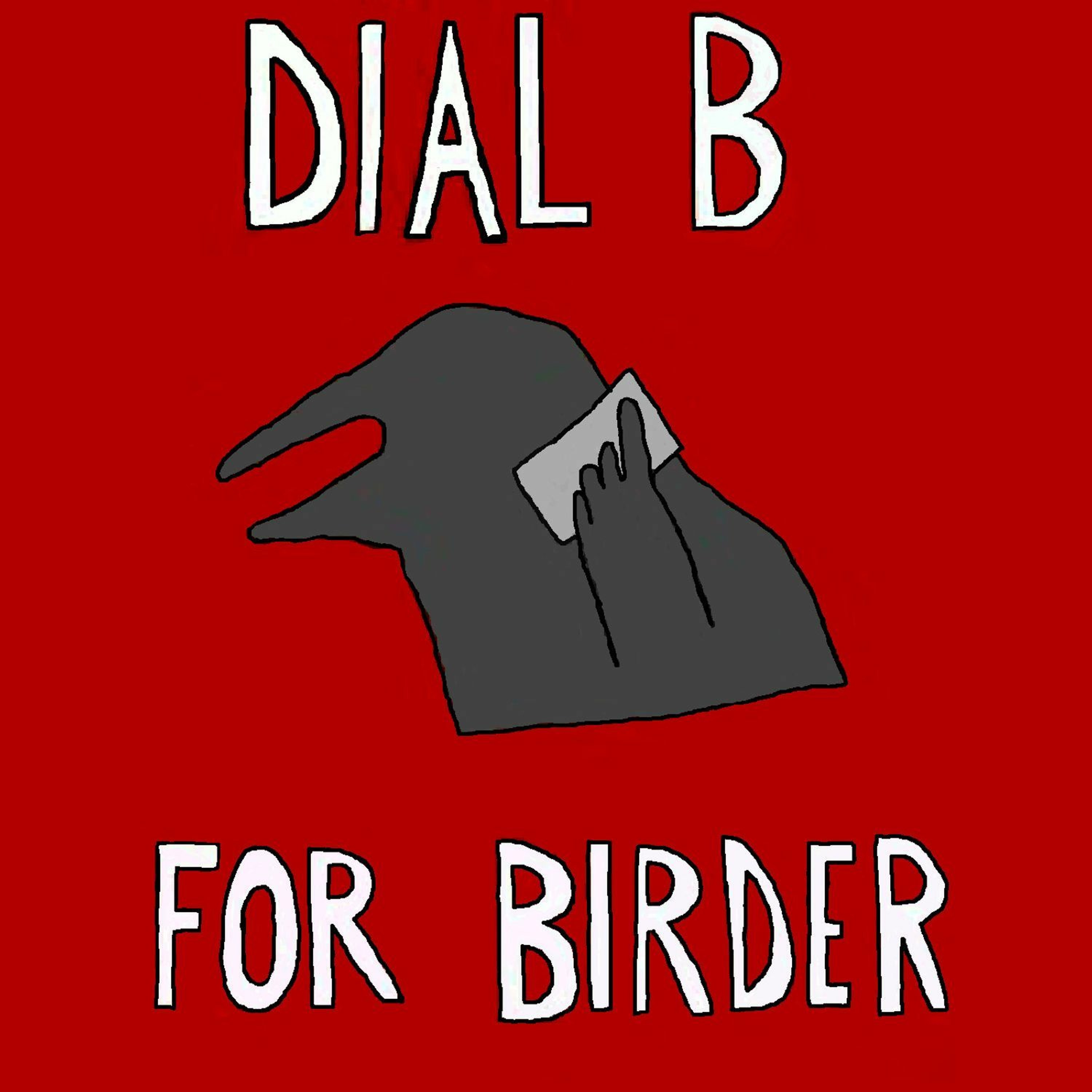 The Return of Dial B For Birder!