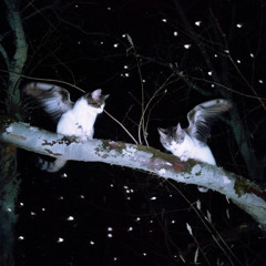 мне так нравится