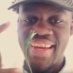 Plug Rockin' Beans