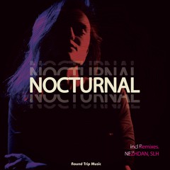 Ellin Spring & FiLLiX - Nocturnal (Nezhdan Remix)