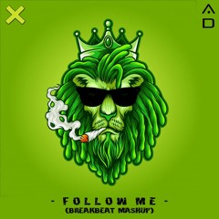 Alien Disaster - Follow Me (BreakBeat MushUp) - Free Download -