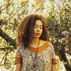 Merai - Terra (Prod. White Latino)