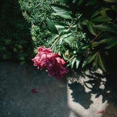 When I Dream V3 (2020)