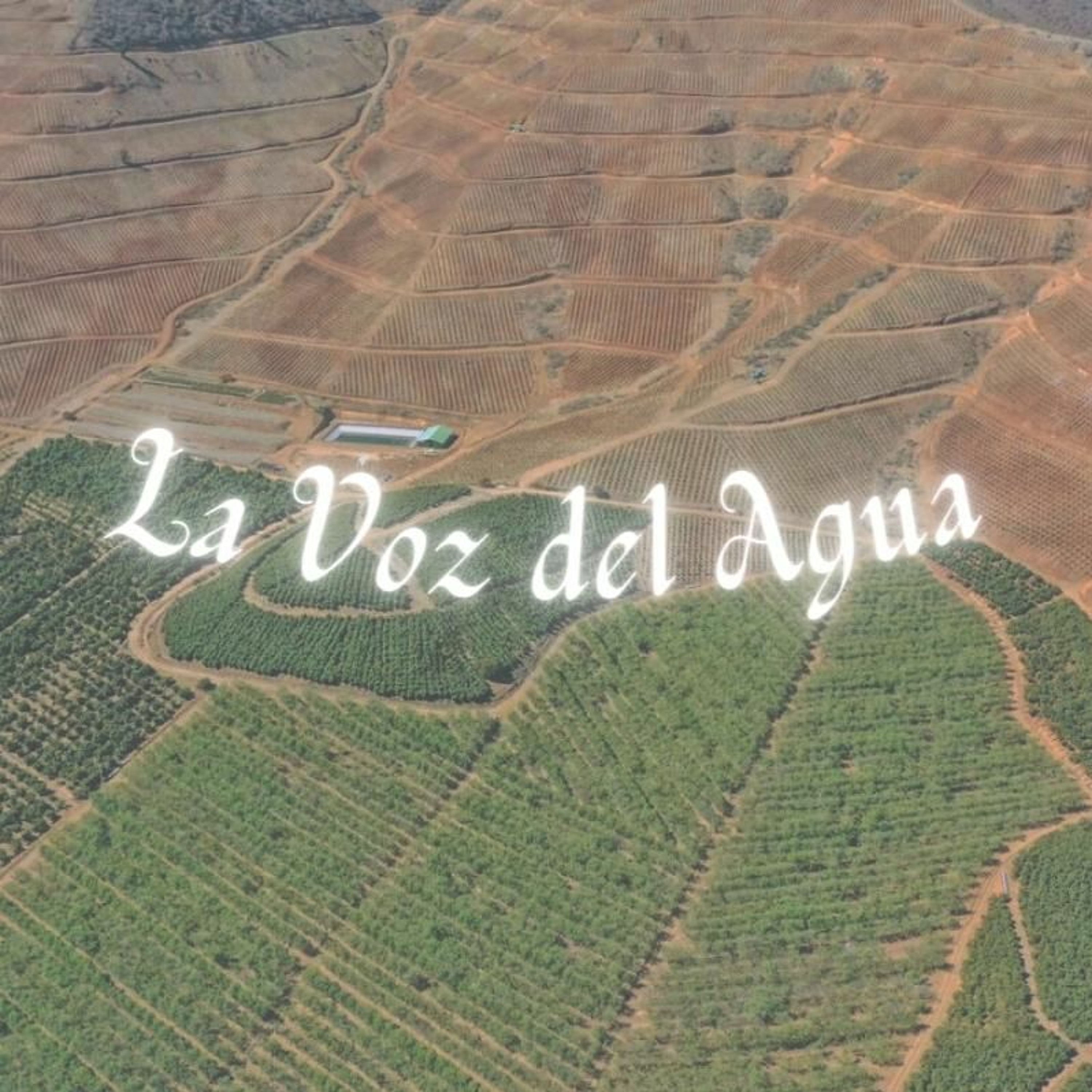 La Voz del Pueblo
