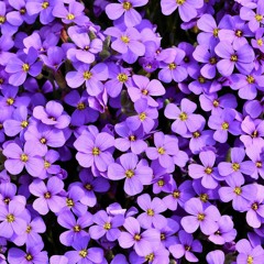 Do It For You freestyle prod. deathboy