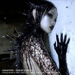 psycho_circuit (Mary-B remix)