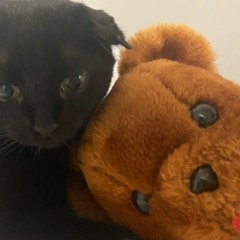 sinner w delcada prod greytertel soss