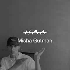 IDA MIX045: Misha Gutman