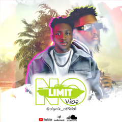 NO LIMIT VIBE Mixtape by DJ OLG MIX