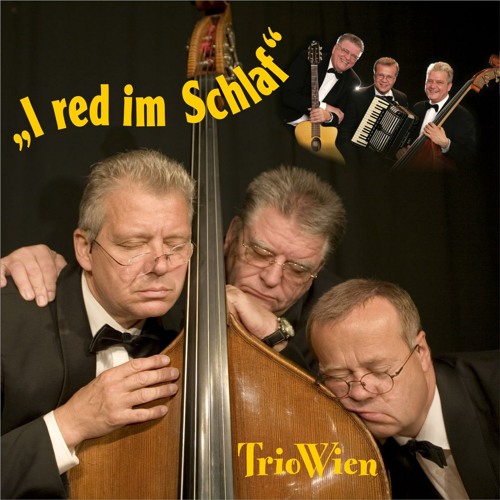 Es War Einmal Ein Hamster Stream Es war einmal ein Hamster by Trio Wien | Listen online for free