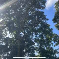 another day(prod.treyosnapped)