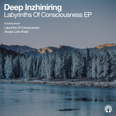 Deep Inzhiniring - Always Look Ahead (Original Mix)