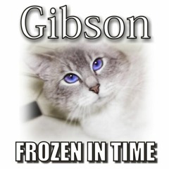 Gibson's Memorial - Frozen In Time | R.I.P. Steve Cash