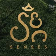 SENCES ECSTATIC DANCE 2024