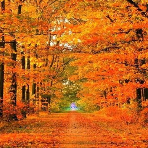 Moments With Trance (Autumn Edition 2023) The Uplifting