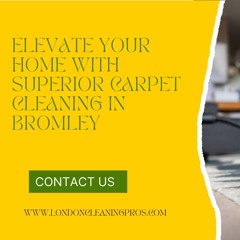 Elevate Your Home With Expert Carpet Cleaning In Bromley