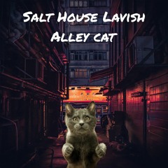 Alley Cat