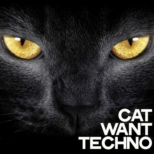 Tinnitus Afterhour @Red Cat Lounge Cologne 2022-08-14