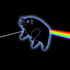 PIGS (3 Different Ones) Pink Floyd Cover