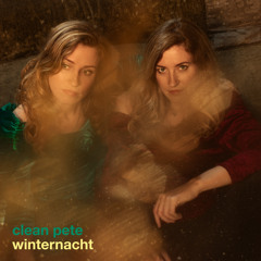 Winternacht (feat. Thomas Heerma van Voss)