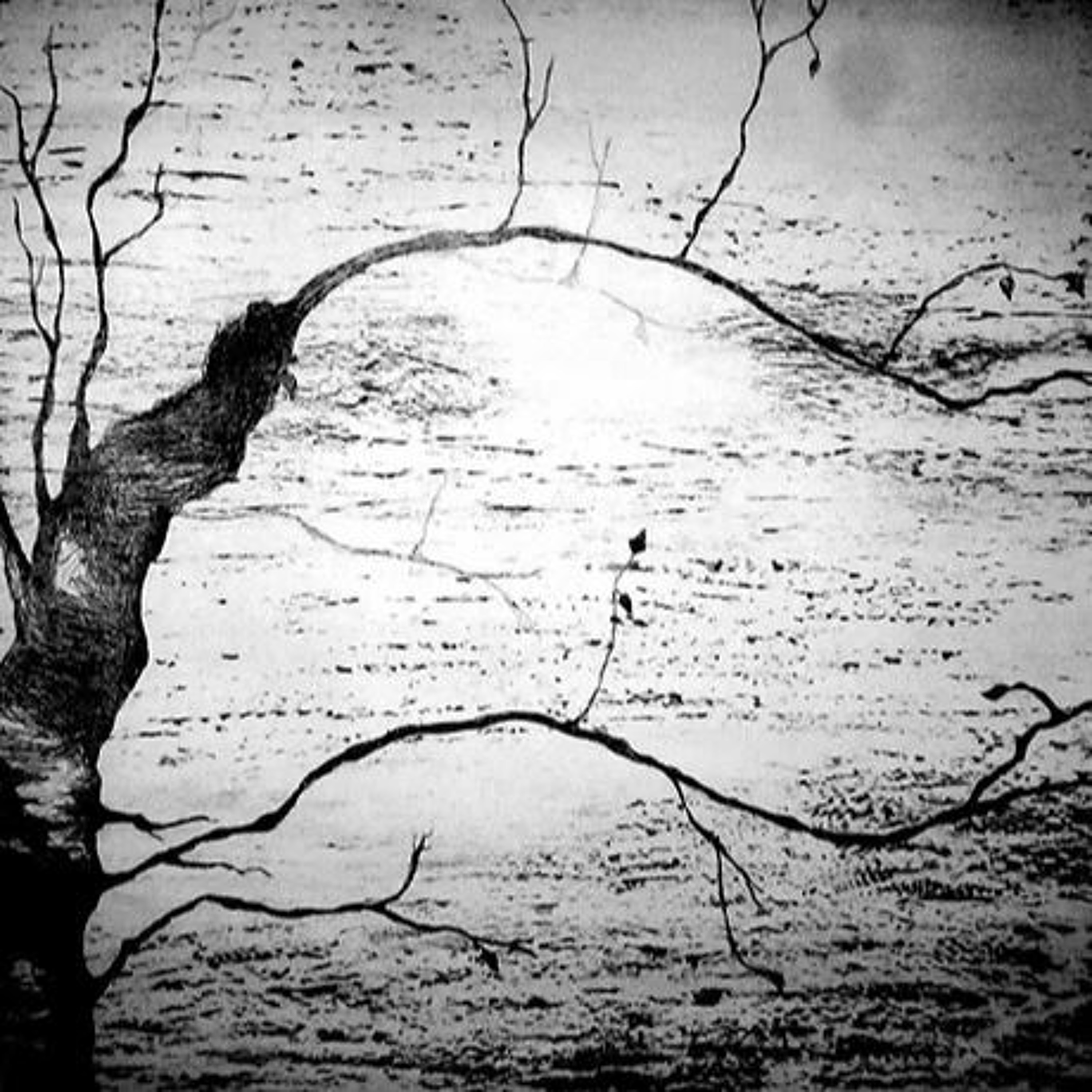 Antonin De Bemels