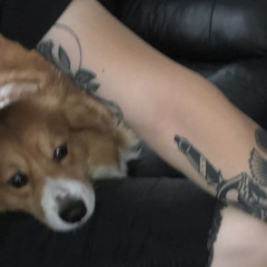 Milosh- New disposition