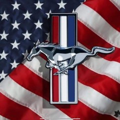 CountrY TraP R US