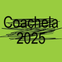 coachela 2025 - charli xcx intro