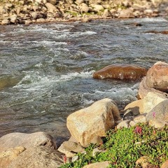 Surah Ar'Rahman (الرحمن) - Abdul Rehman Mosad Beautiful Quran Recitation