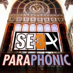 SE-3X Paraphonics & Leads