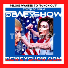 Clip of Speaker Pelosi surfaces from Jan. 6 saying she wanted to `punch outâ Donald Trump!