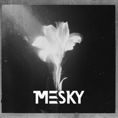 Netsky ft. Bebe Rexha - Light That Leads Me (Mesky Remix)