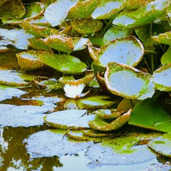 TSC 0925 - 1 Ademruimte met vriendelijkheid 2