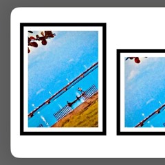 “I NEED TO LIVE TOO” (FOMO & M.O.B)