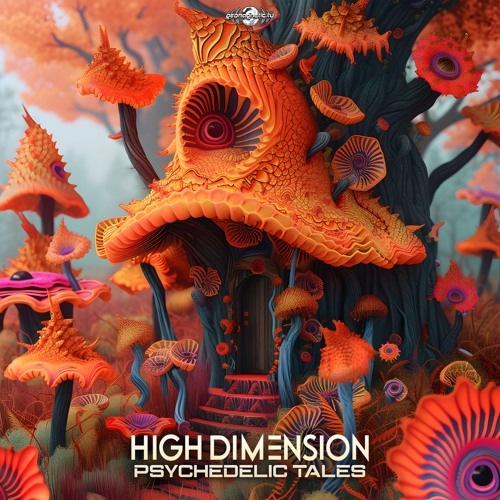 High Dimension - Psychedelic Tales (geoLP091 - Geomagnetic Records)