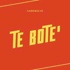 Bad Bunny - Te Boté (GABRI&SILVE Tech House Edit)