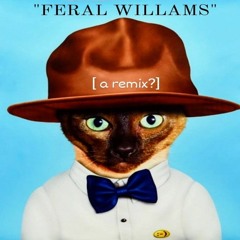 FERAL WILLIAMS (cash In Cash Out)