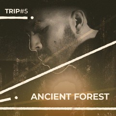 Trip#5: Ancient Forest
